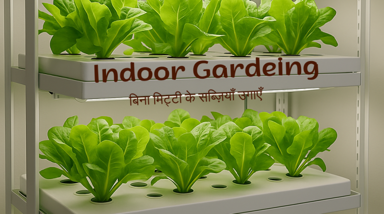 Indoor Gardening Indoor Gardening