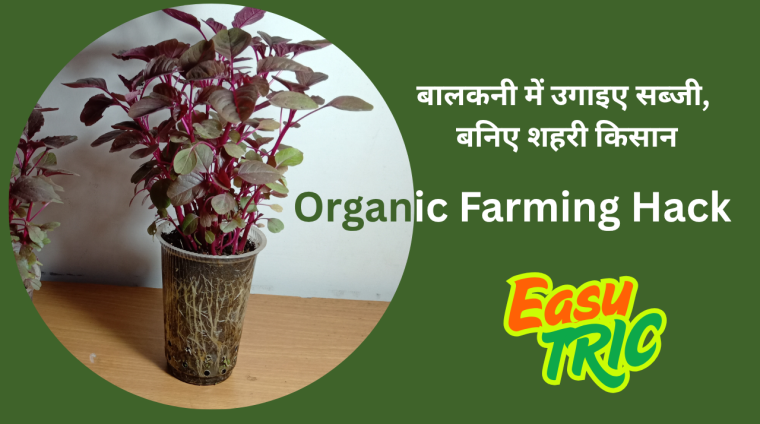 Organic Farming Organic Farming