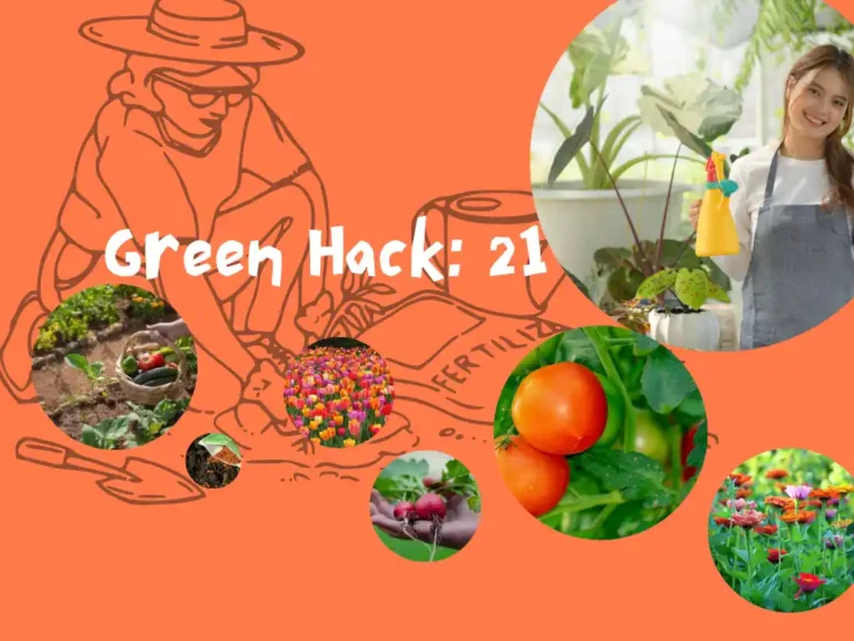 Green Hack