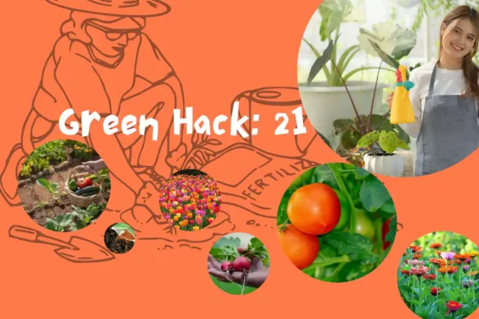 Green Hack