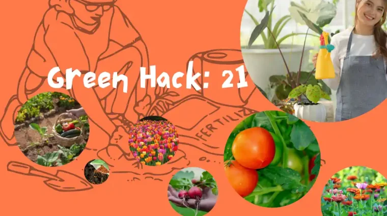 Green Hack