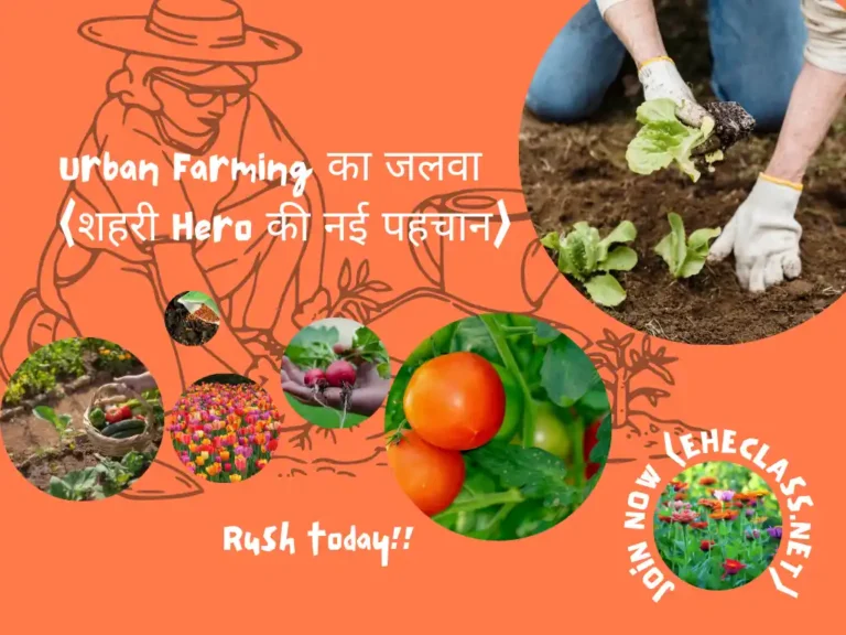 Urban खेती