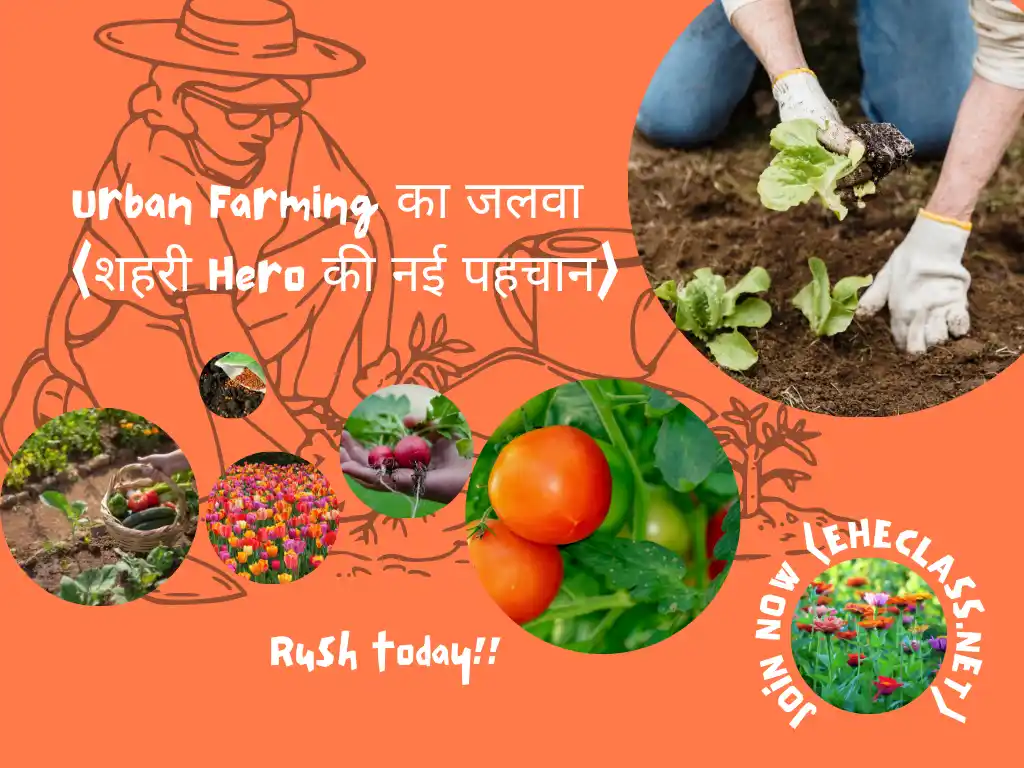 Urban खेती